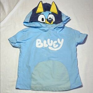 2T Bluey T-shirt, costume